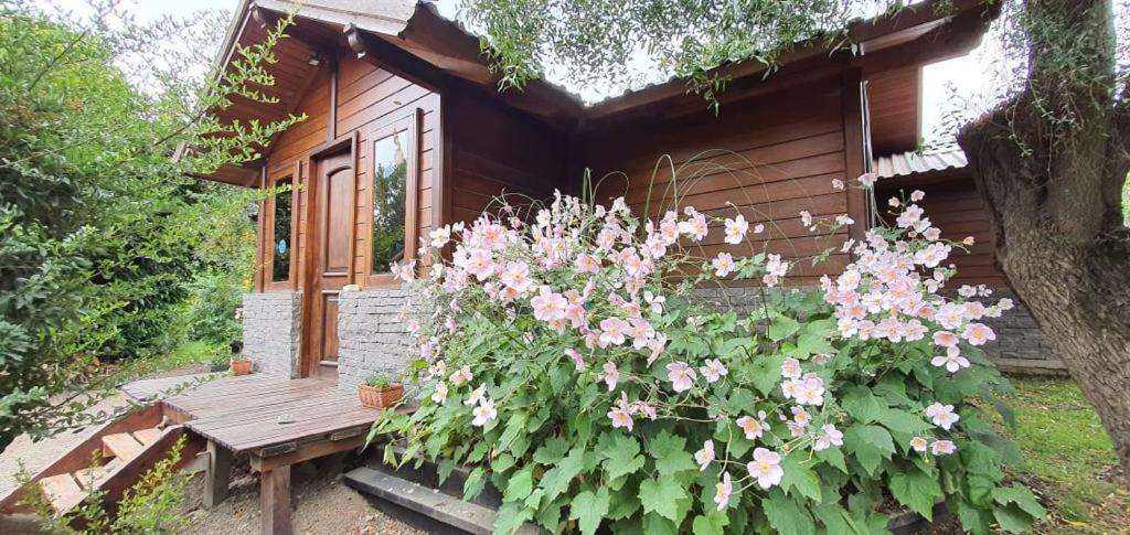 Casas Huron!! Chalé